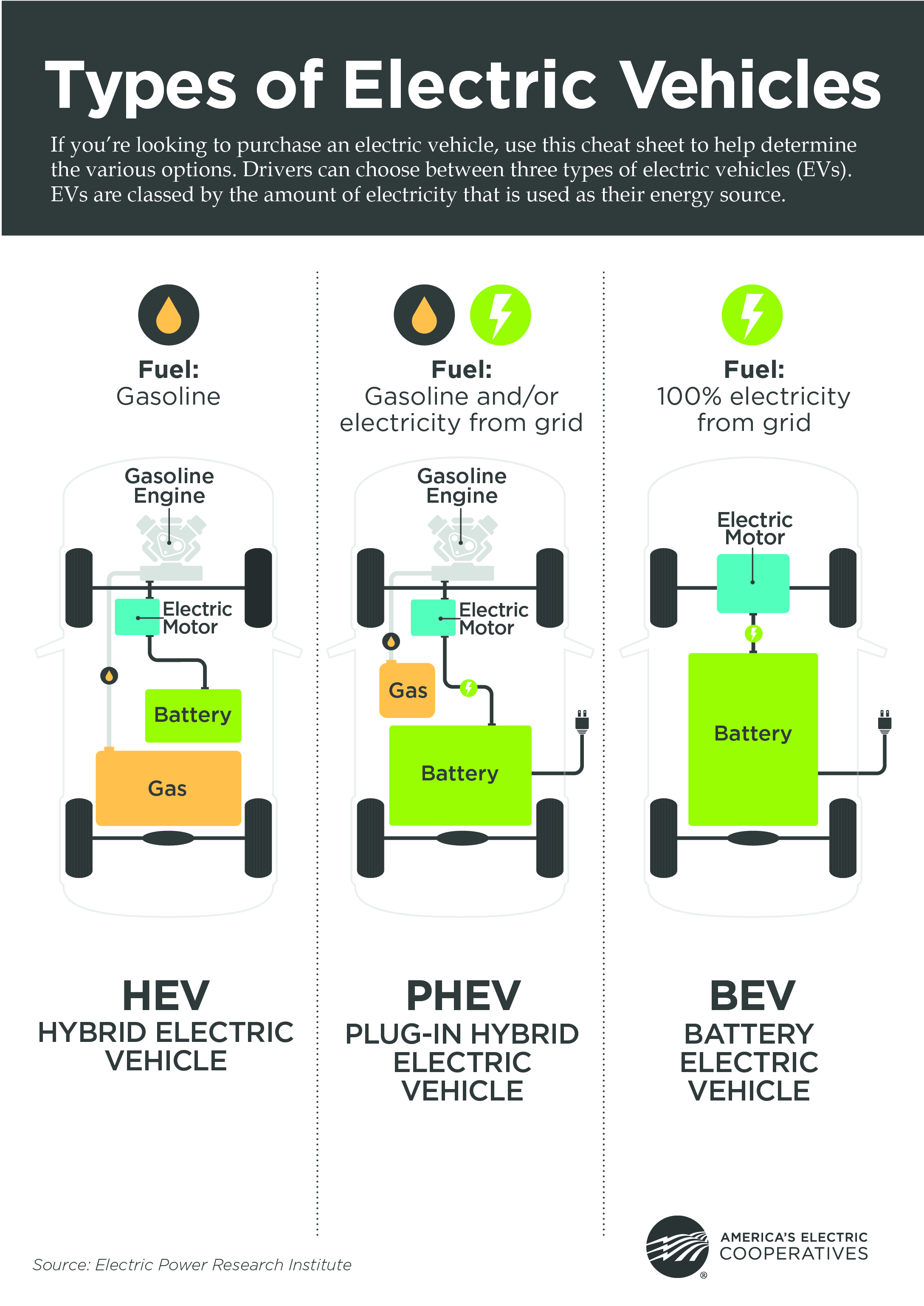 Types of EVs graphic
