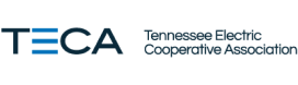 TECA-Logo